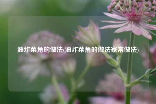 油炸菜角的做法(油炸菜角的做法家常做法)